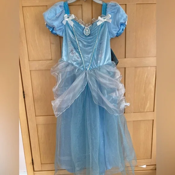 Cinderella Costume Dress - Picture 1 of 6